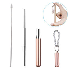 Telescopic Stainless Steel Drinking Straw