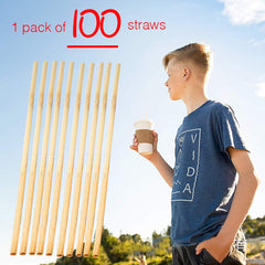 Natural Biodegradable Wheat Straw (100 Pieces)