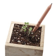 Plantable Graphite Pencils With Seeds and Eco-Friendly Wood | 8 Pack (Herbs and Flowers)