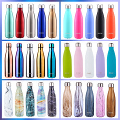 Stainless Steel Water Bottle Leak-Proof and Vacuum Insulated (500ml/16oz)