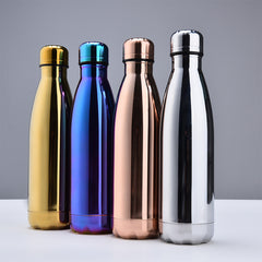 Stainless Steel Water Bottle Leak-Proof and Vacuum Insulated (500ml/16oz)