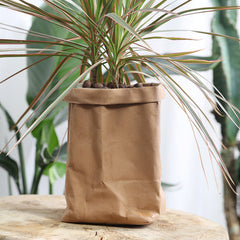 Super Strong and Washable Multiuse Kraft Paper Bags (Storage, Organizer, Plants, Clothing)