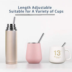 Telescopic Stainless Steel Drinking Straw