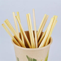 Natural Biodegradable Wheat Straw (100 Pieces)