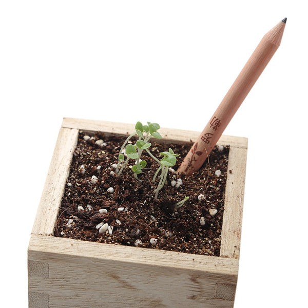 Plantable Graphite Pencils With Seeds and Eco-Friendly Wood | 8 Pack (Herbs and Flowers)