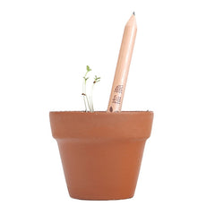 Plantable Graphite Pencils With Seeds and Eco-Friendly Wood | 8 Pack (Herbs and Flowers)