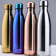 Stainless Steel Water Bottle Leak-Proof and Vacuum Insulated (500ml/16oz)