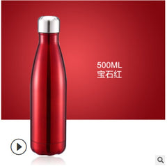 Stainless Steel Water Bottle Leak-Proof and Vacuum Insulated (500ml/16oz)