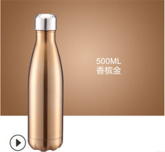 Stainless Steel Water Bottle Leak-Proof and Vacuum Insulated (500ml/16oz)